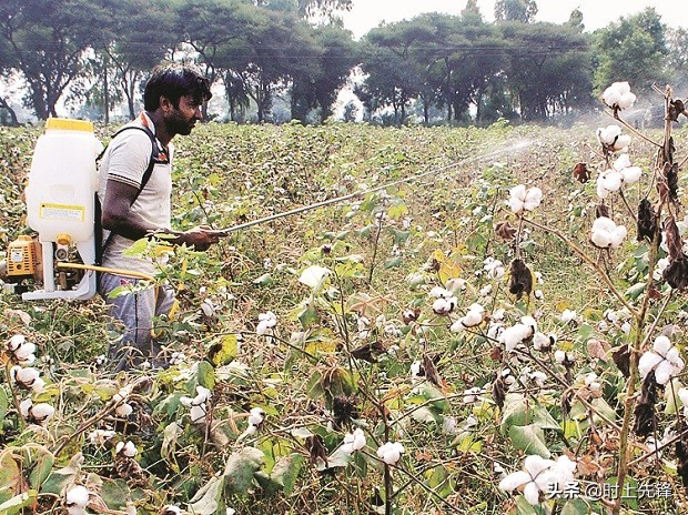 行业*局骗**？快时尚宣布2025年100%使用永续面料，学者：没这种东西