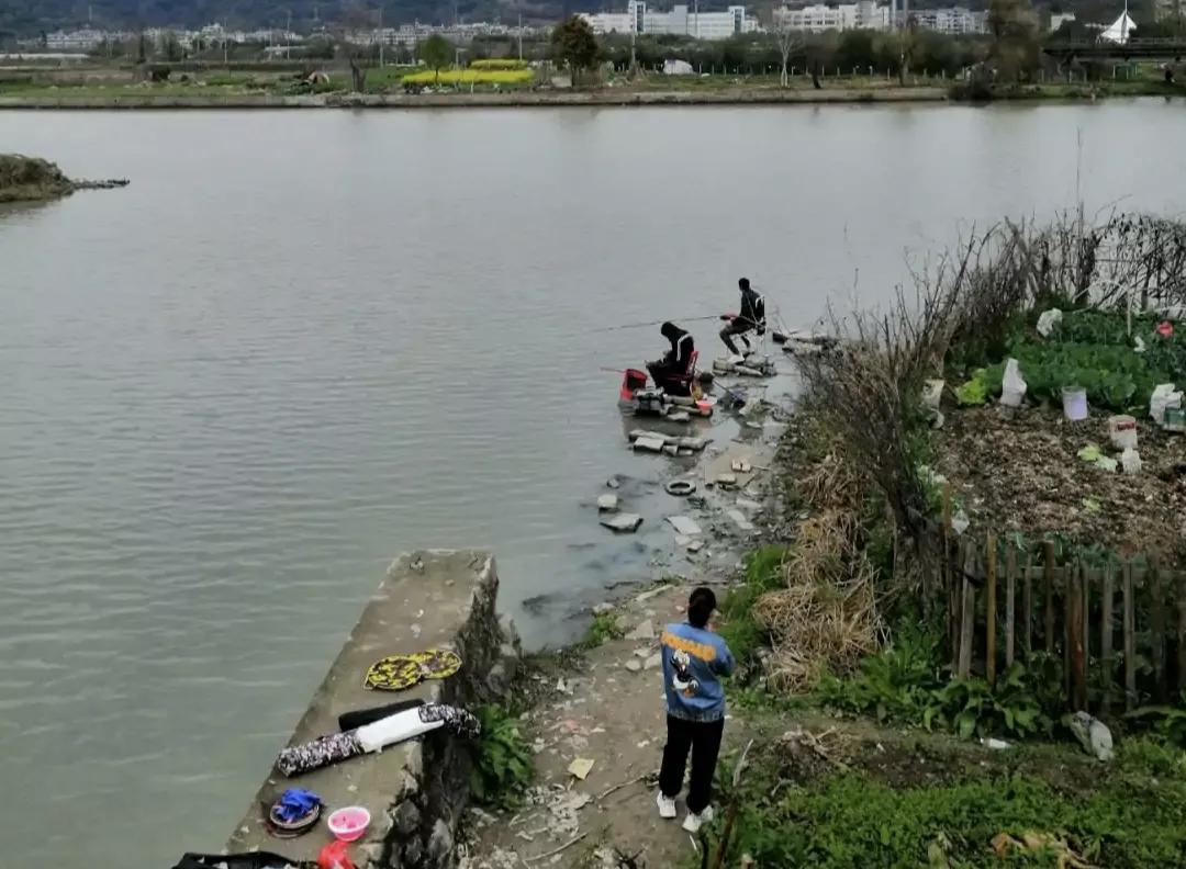 起点即终点：鳗鱼穷其一生，只为留下最后的温柔