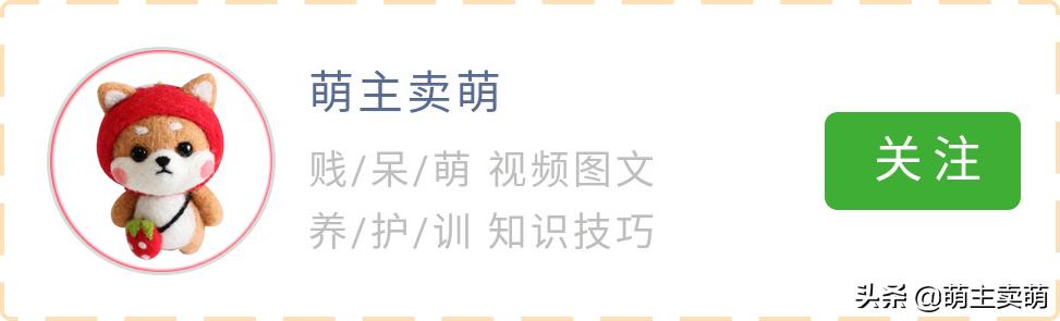 狗拟人化的性格,各种狗狗拟人化