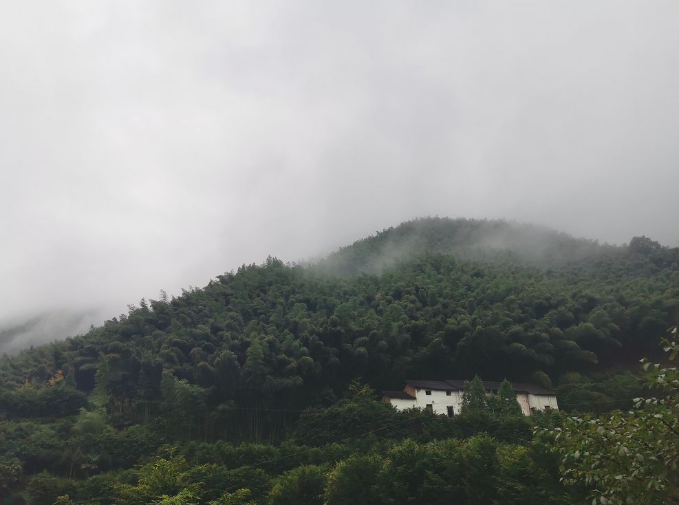 一场烟雨,把人困进仙境!藏在金华南山的这个小村,不求爆红,只求安静邂逅!