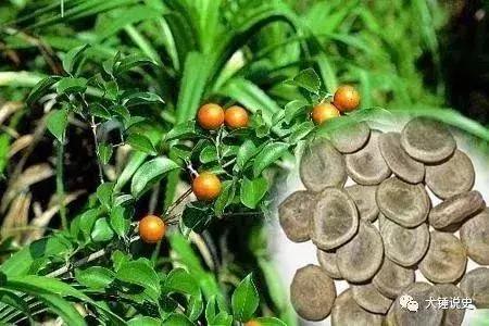 伤湿止痛膏长期贴有什么副作用,贴了伤湿止痛膏过敏怎么办