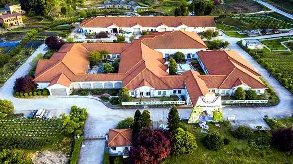 重庆这个县为柑橘“立档建馆”