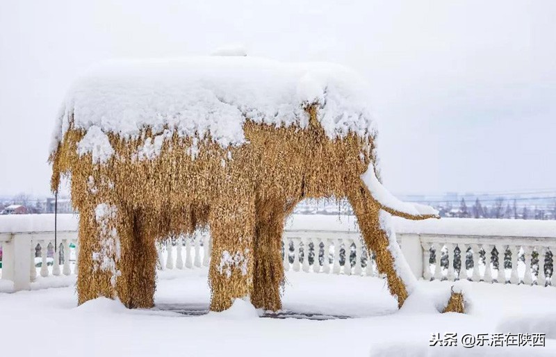 戏雪游乐场项目,戏雪乐园雪人