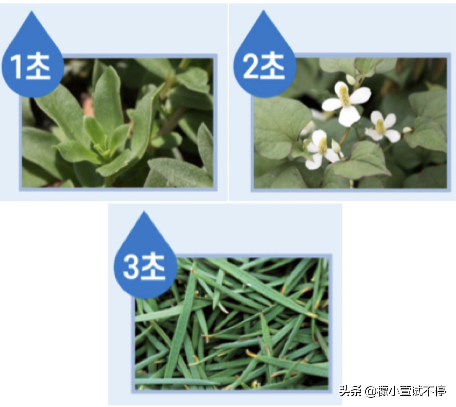 2020八月新品-给你的肌肤喝杯MISSHA果汁吧