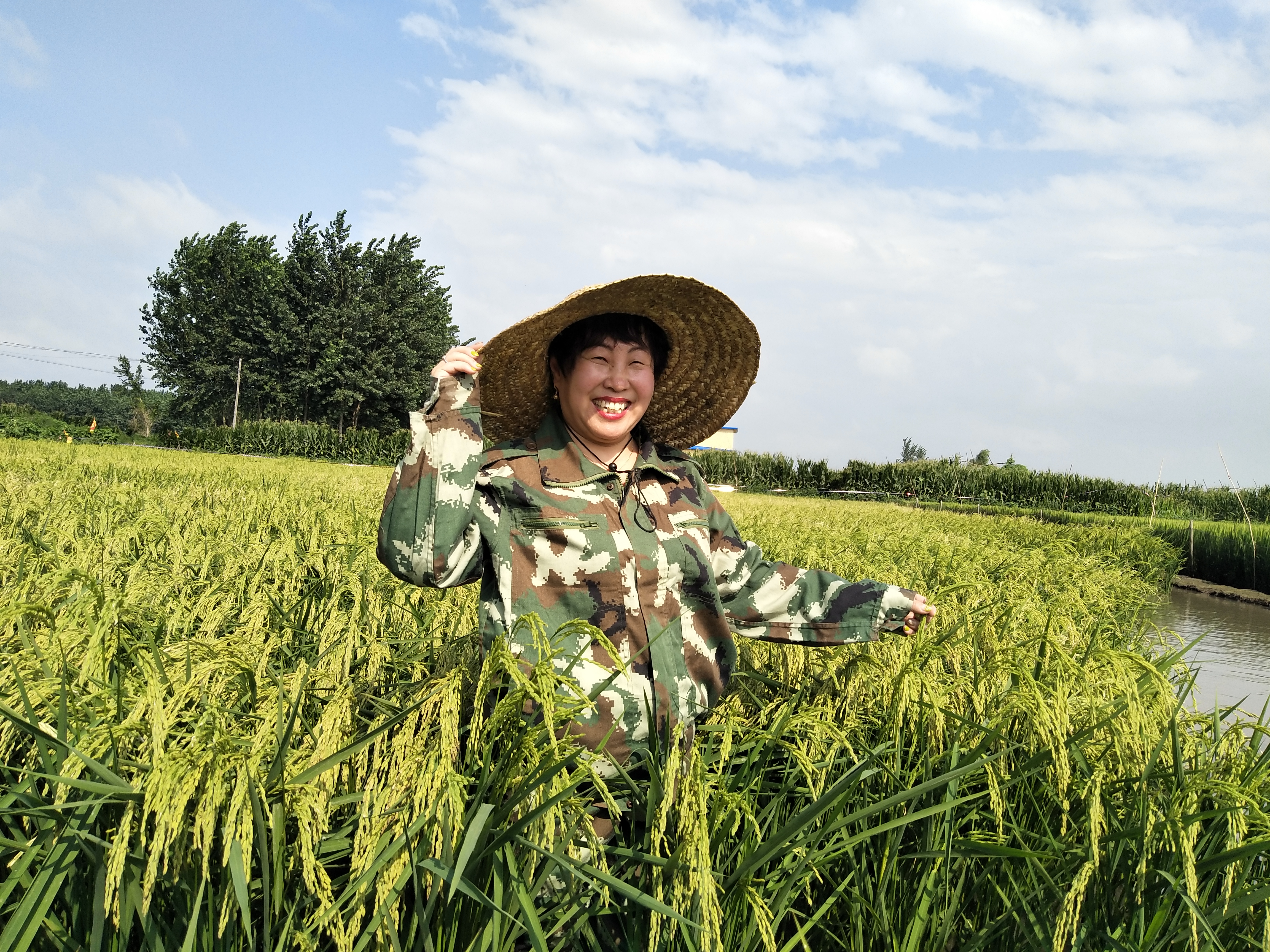 健康首选食品,鸭米庄园天然生态大米