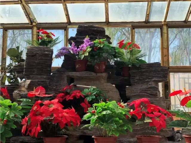 北京小型四合院公寓,北京市最大的老年公寓