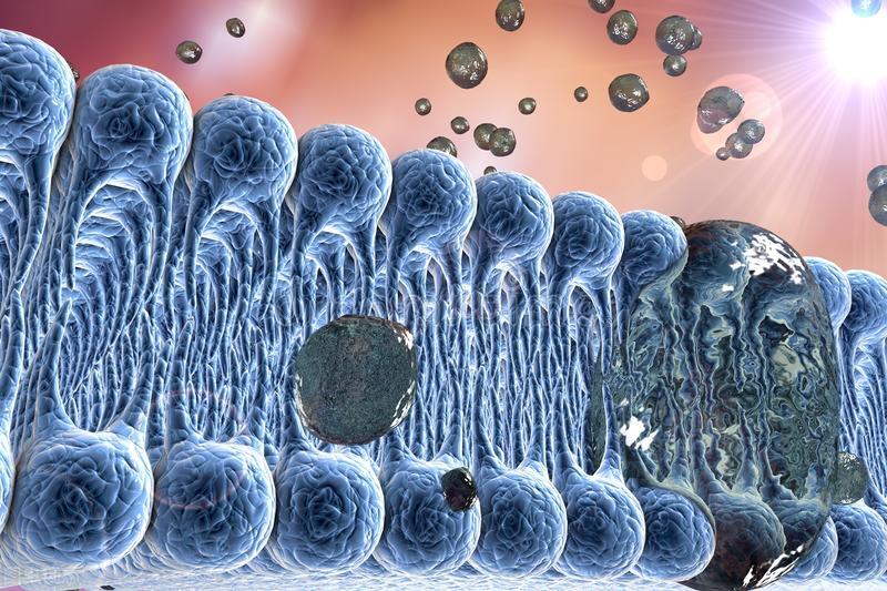 放疗前有什么注意的事项,鼻咽癌放疗期间吃什么有助于恢复