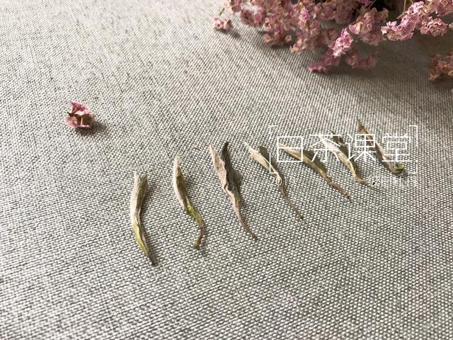 白茶散茶怎么存,白茶饼与散白茶的家常储存方法