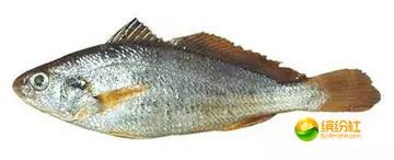 舟山4月份海鲜攻略,舟山海鲜代加工攻略