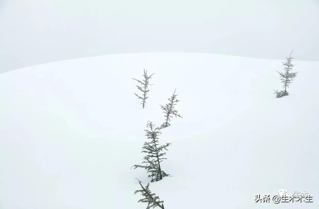 不要跟三观不一致的人争吵,余生不要把时间浪费在他人身上