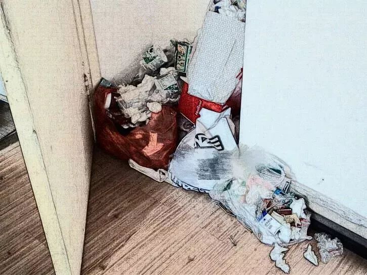 在武汉合租是什么体验,在武汉和对象玩什么