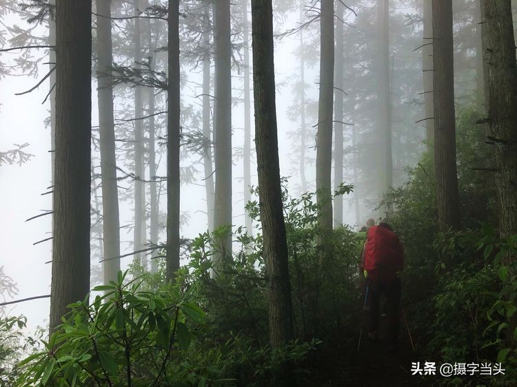 初夏游江西：历经晴、雨、雾，穿越武功山