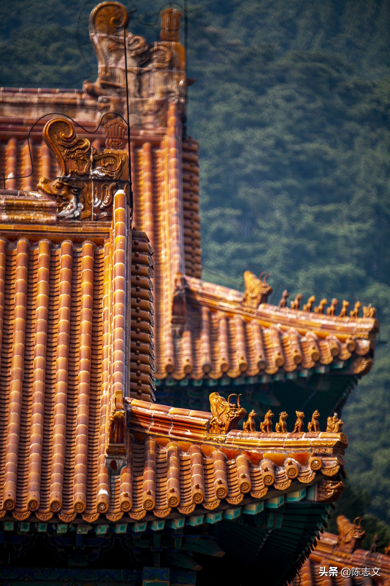 大清皇后娘娘竟然是江南名伎？太狗血了吧