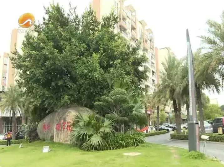 小区物业突然撤走了,福州一小区物业突然退出