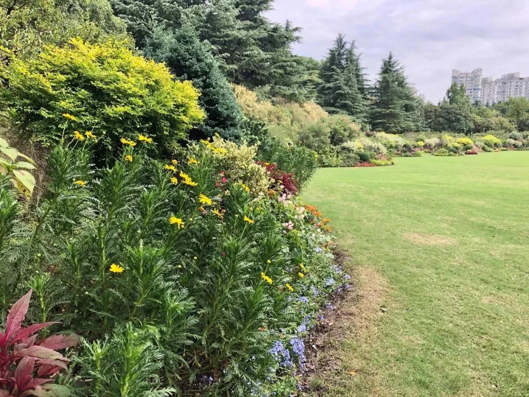 世纪公园拍照馆,世纪公园拍照出片的地方