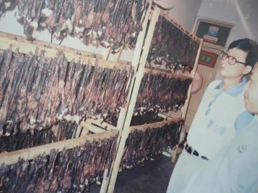 伊春市林区今昔对比,伊春六七十年代林区林场