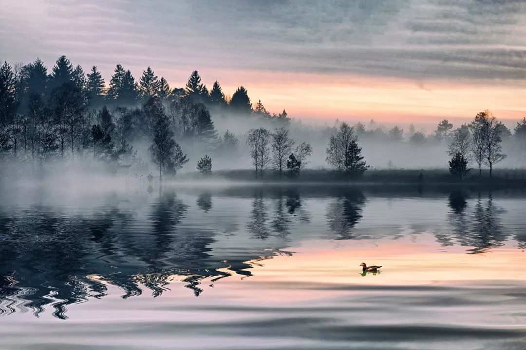 不爱江山更爱美人的上半句,不爱江山更爱美人的上一句是什么