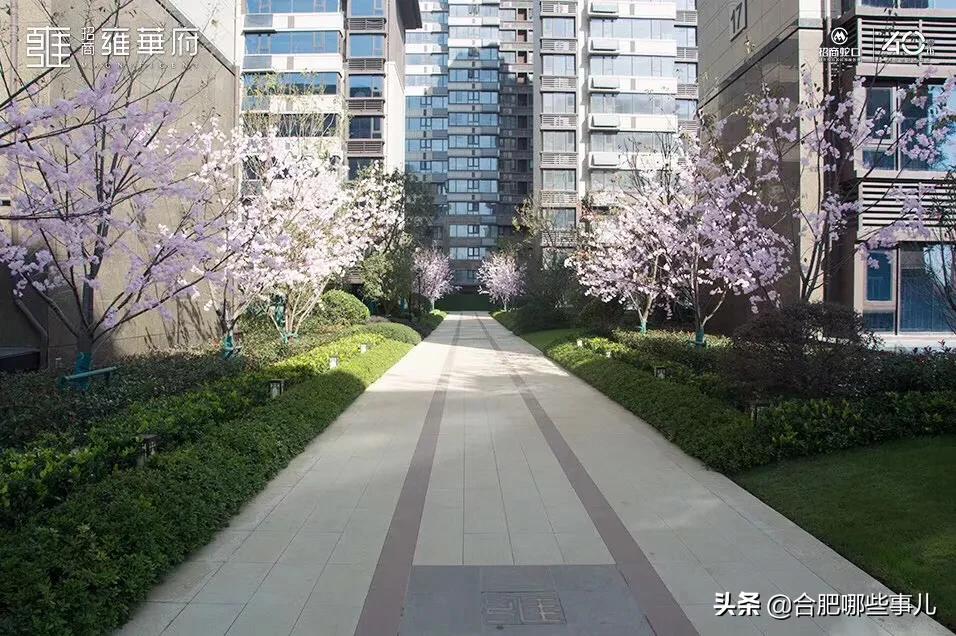 合肥招商雍华府最新价格表,合肥滨湖省府招商雍华府商铺