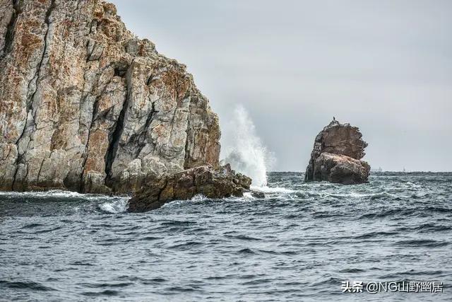真的钓到了龙子龙孙