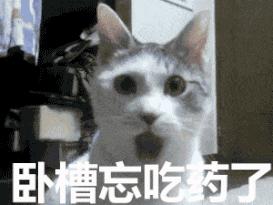 猫咪糖尿病如何诊断,猫咪糖尿病如何确诊