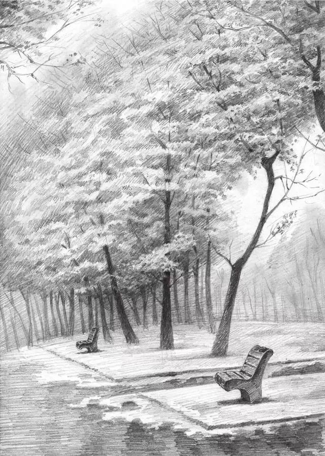 树林素描简单画法,树林中的光影画简单素描