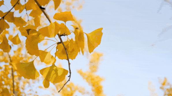 台州植物园二期项目,台州植物园最新视频