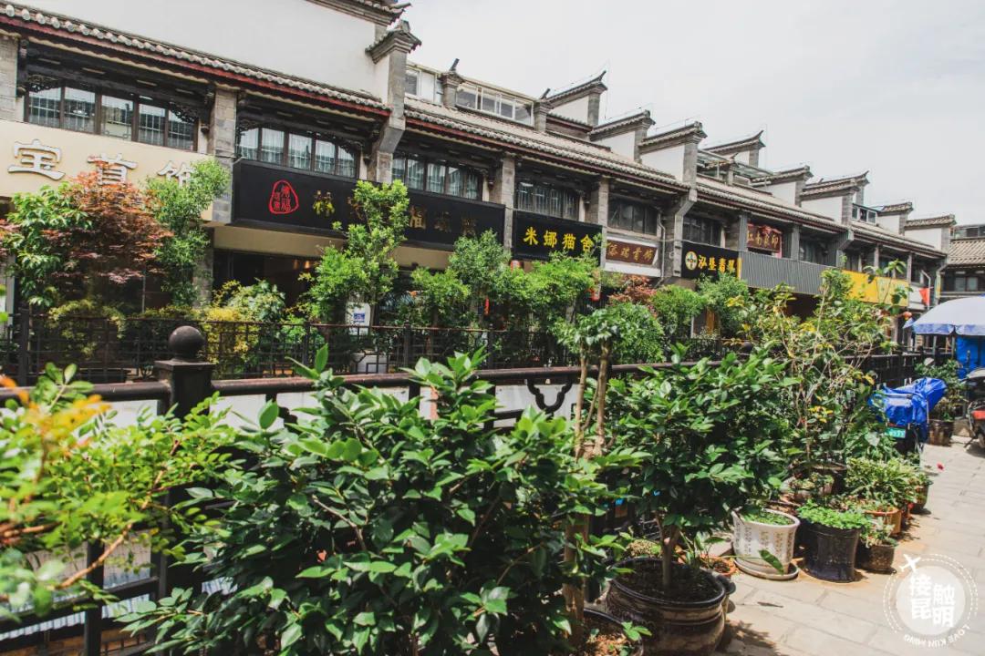 逛逛园博花鸟市场,园博花鸟市场攻略