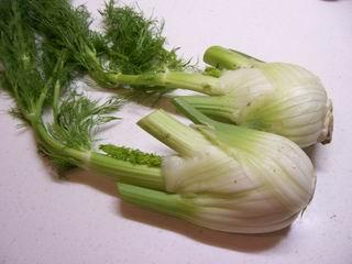 茴香种植时间和方法球茎茴香,带根的茴香怎么种植最好