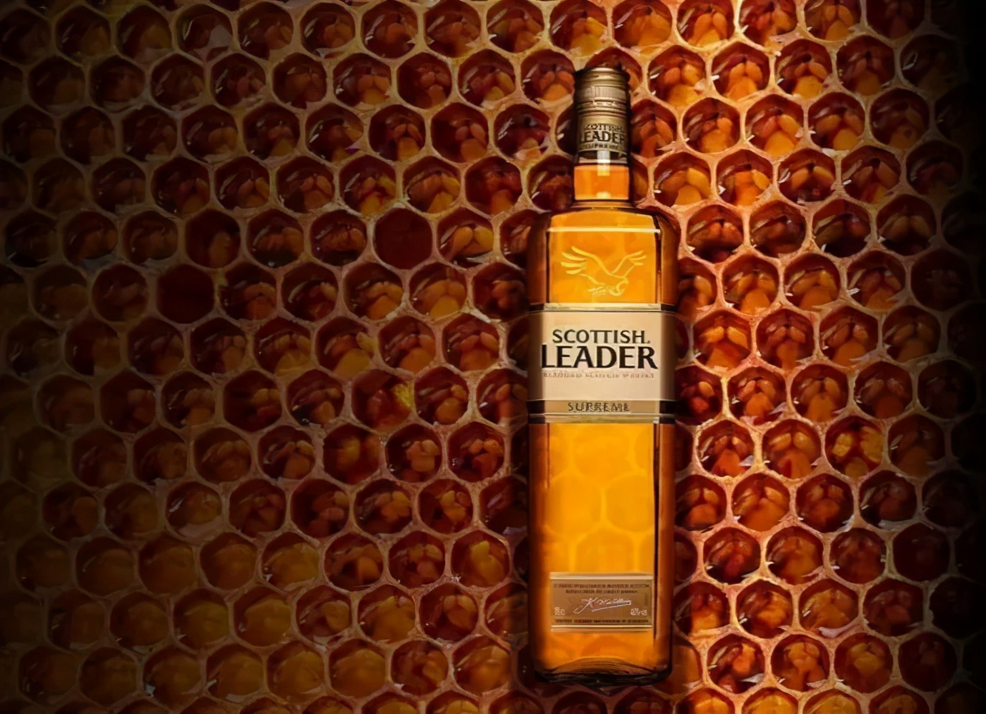 100元能买到好喝的威士忌吗,100元必买的5种威士忌