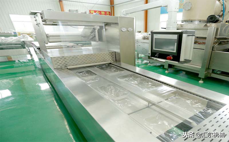 供应全自动连续拉伸膜真空包装机,榴莲全自动连续拉伸膜真空包装机