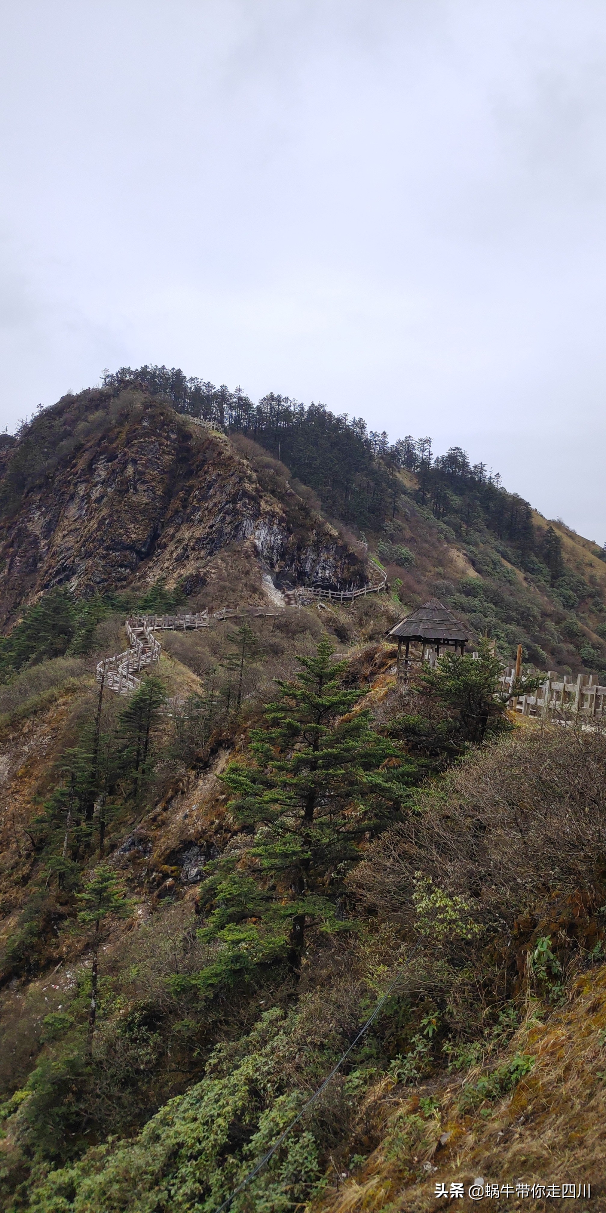 成都去西岭雪山两天一夜旅游团,成都出发雪山旅游