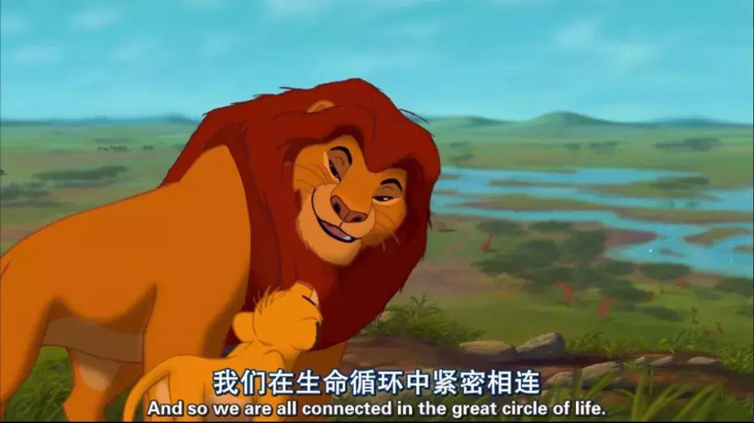 真实版的狮子王,现实版狮子王比想象的更残酷