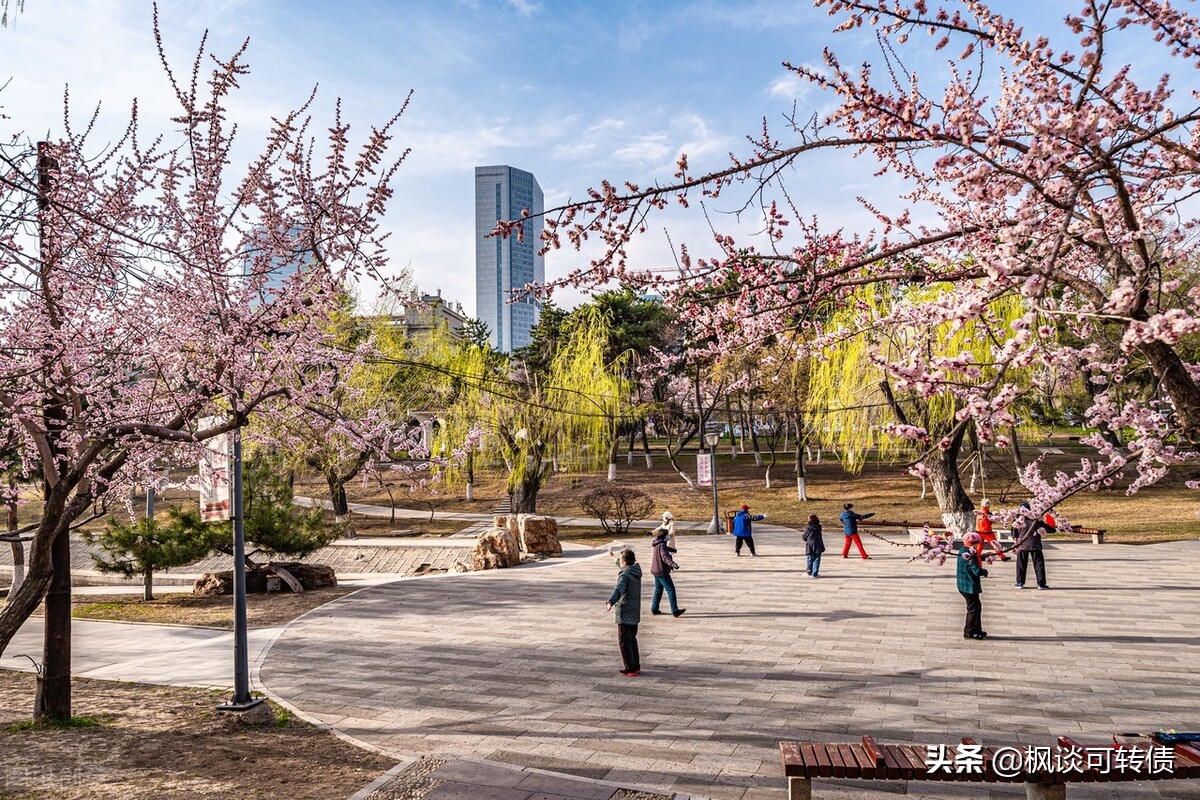 可转债转股溢价率在多少合适买入,可转债溢价率高好还是溢价率低好