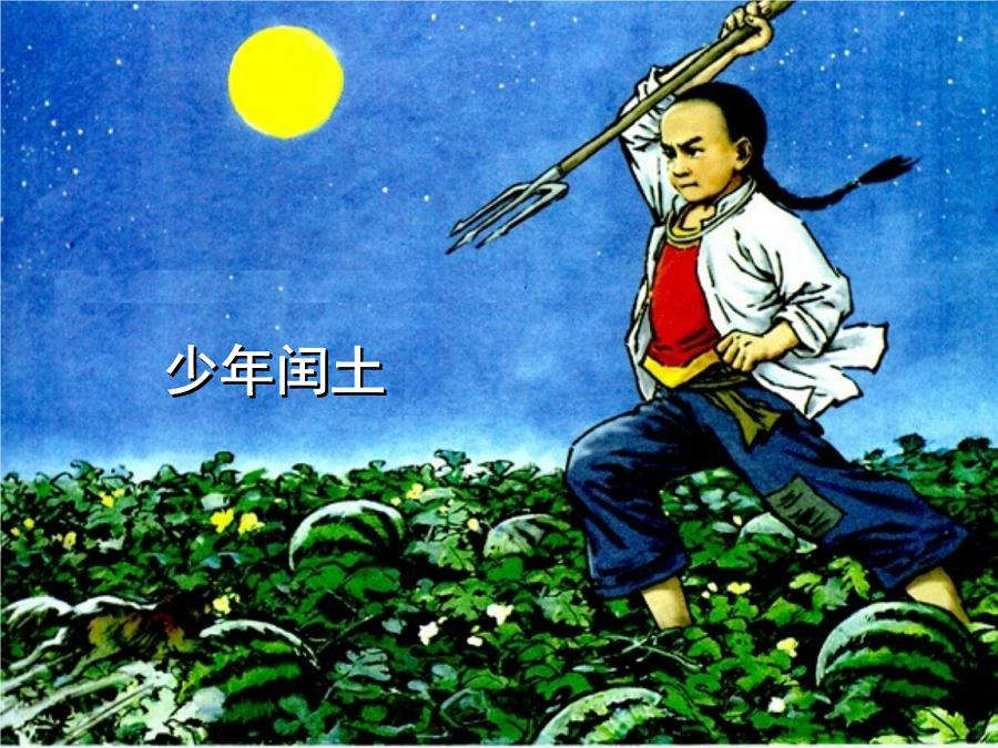 市区街头惊现一头野猪,惊现一头大野猪