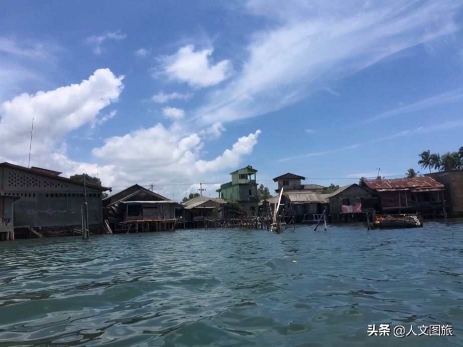 印度尼西亚松巴岛红树林,印度尼西亚的红树林牛角螺