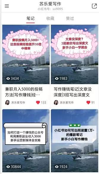 在小红书有上万的粉丝收益多少,小红书如何快速做出爆款变现