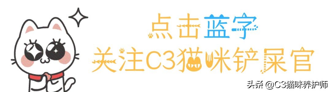 斯芬克斯无毛猫的冷知识,斯芬克斯猫是人工的吗