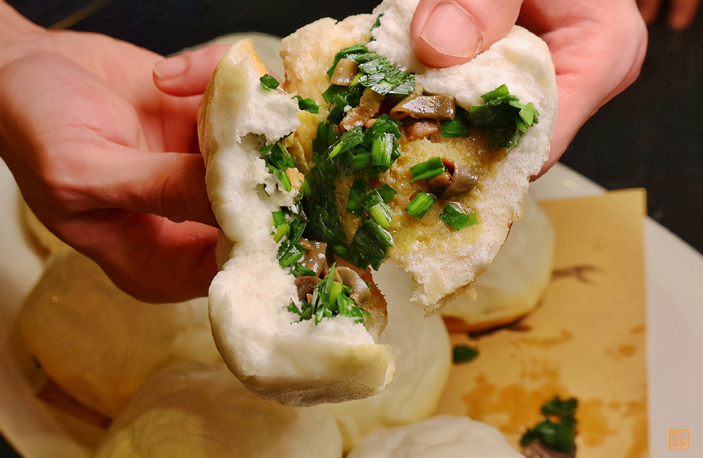 不能飞去巴黎伦敦,不如到大连喂鸽子,赏海景吃海鲜