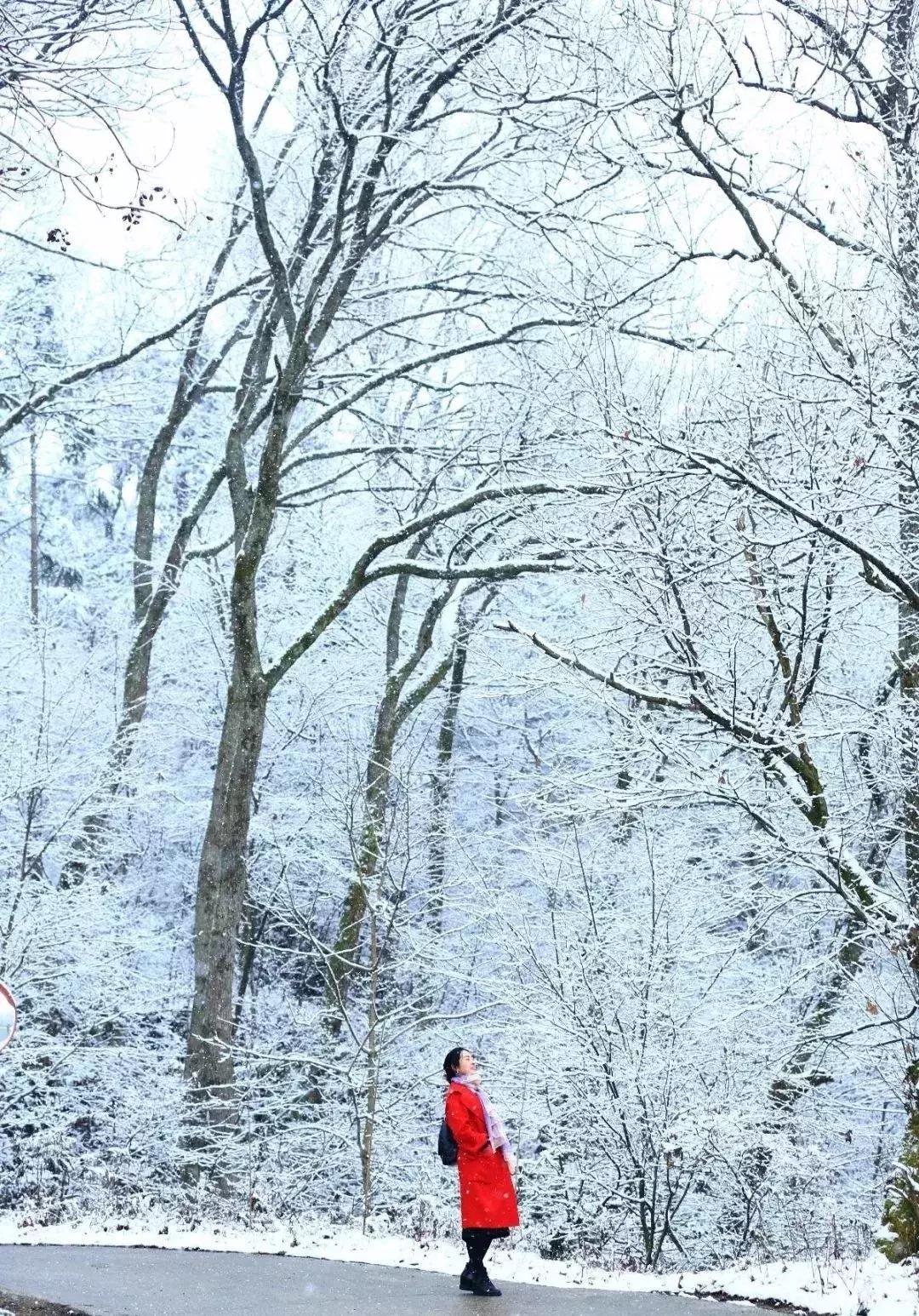 中国“林海”，你可能还不知道，这是一个低调很久了高颜值县城！