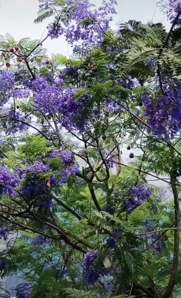 公公吵架骂儿媳妇怎么办,小两口吵架公公应怎样安慰儿媳妇