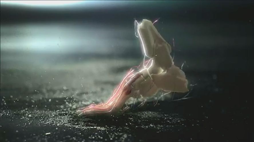 让跑步更轻松的秘籍,让跑步变得简单一点