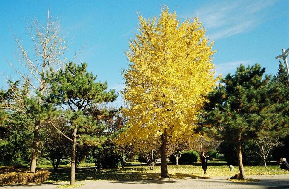 摄影入门推荐胶片,拍摄胶片的六大禁忌