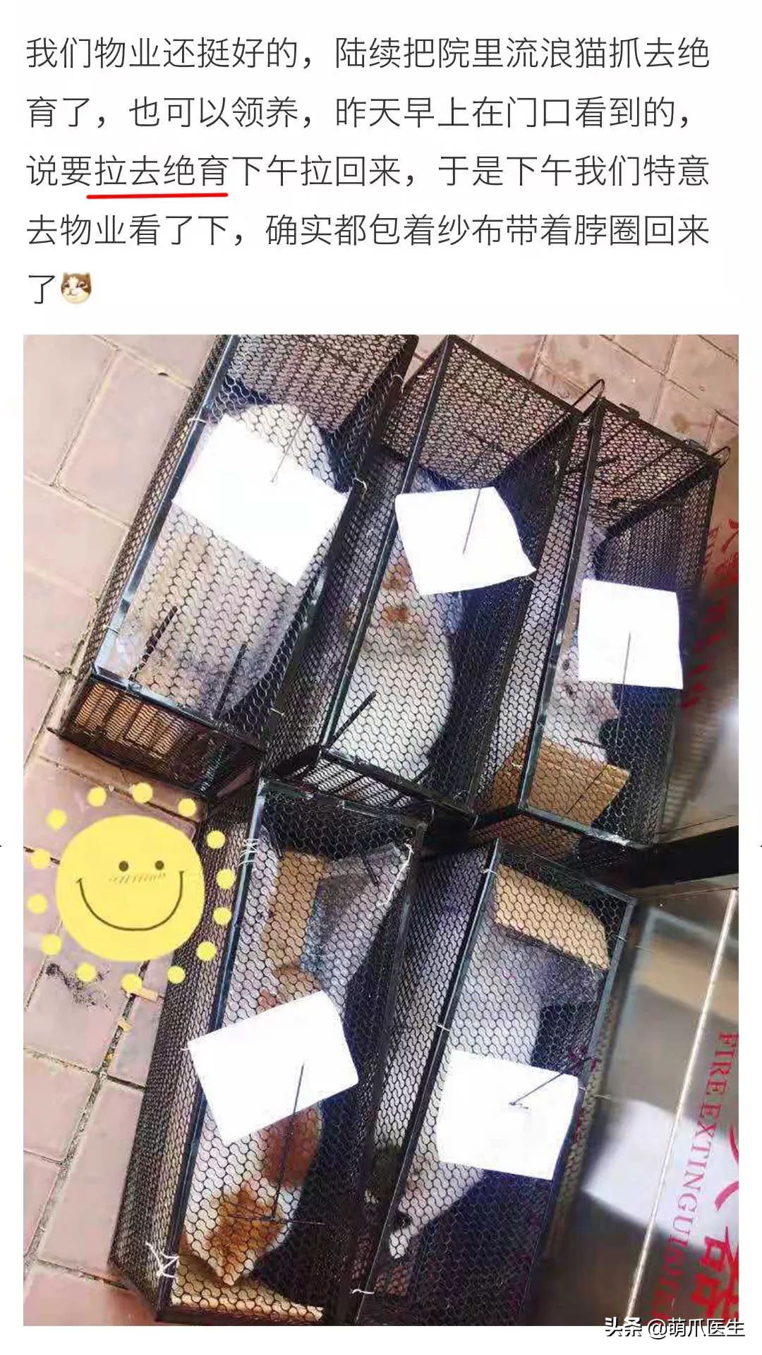 物业给小区流浪猫绝育视频,业主凑20万给流浪猫绝育