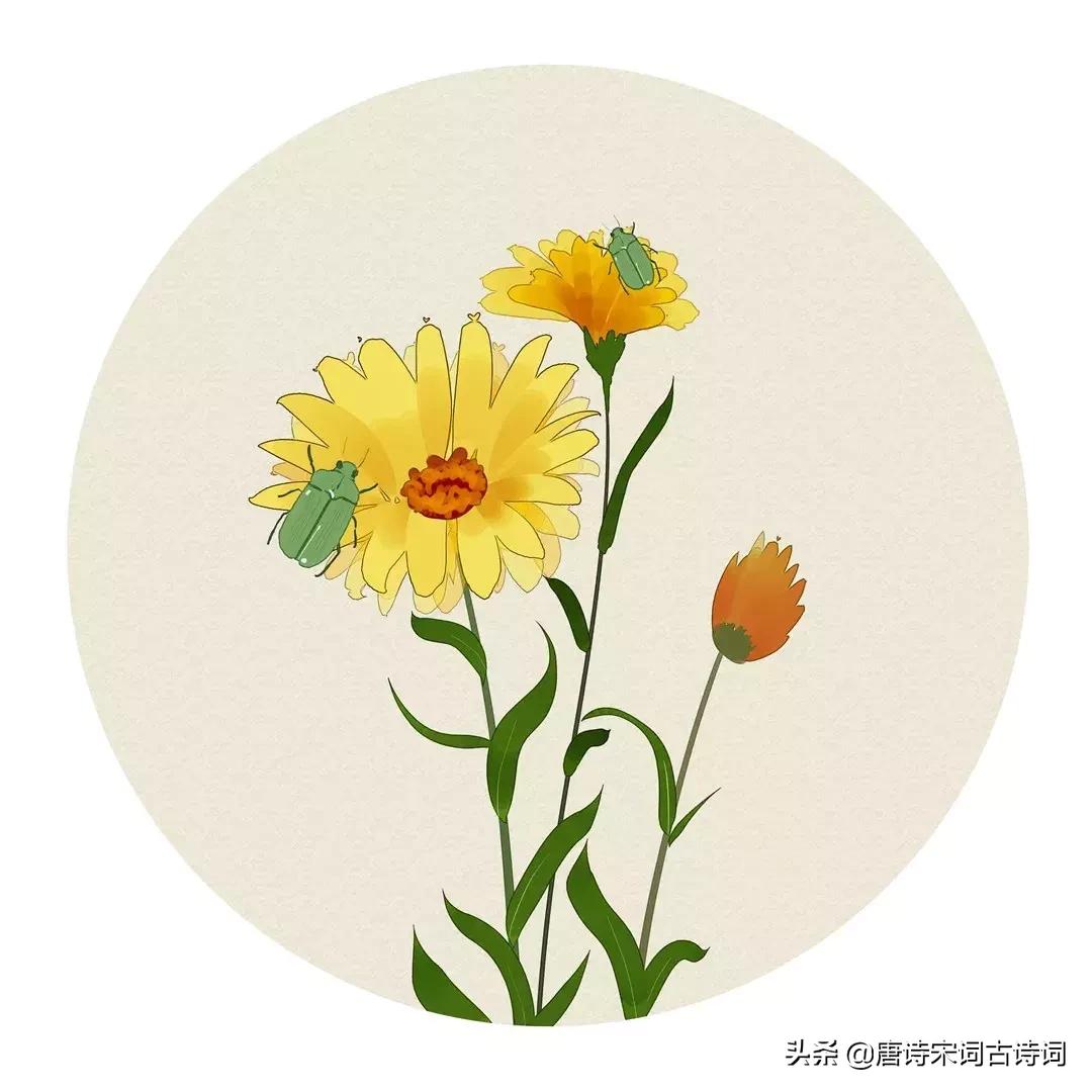 100首关于夏天的唯美古诗词,100首夏日古诗词