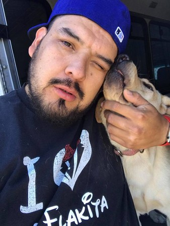 可爱的狗狗去上学,宠物狗狗去学校上学