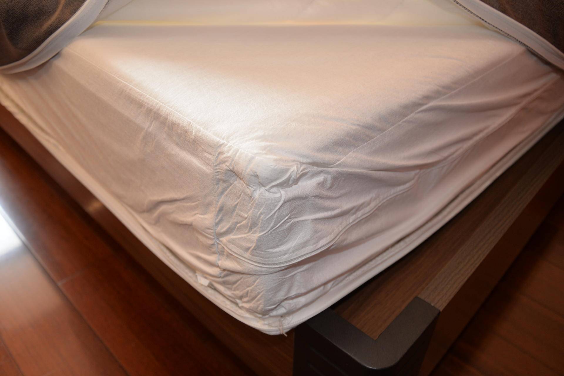 孝敬父母篇二:你们的满意是我的目标—8H黄麻透气护脊床垫