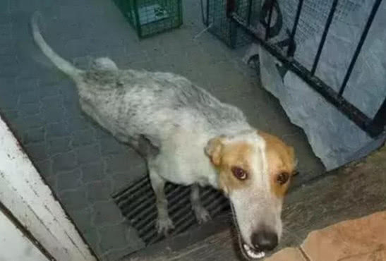 鐢蜂汉鐢ㄦ毚鍔涢┍璧舵祦娴嫍,涓轰粈涔堜繚瀹夎鎶婂悇绉嶆祦娴嫍鎵撴