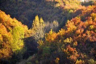 大连哪里的秋色最美呢,大连赏秋景的地方