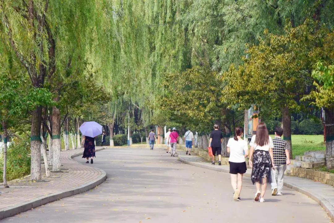 平顶山市新城区值得买的房子,平顶山新城区哪个小区值得买