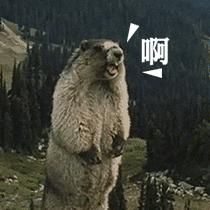 花2000多块钱租了一栋别墅,花了2500元租了个小别墅